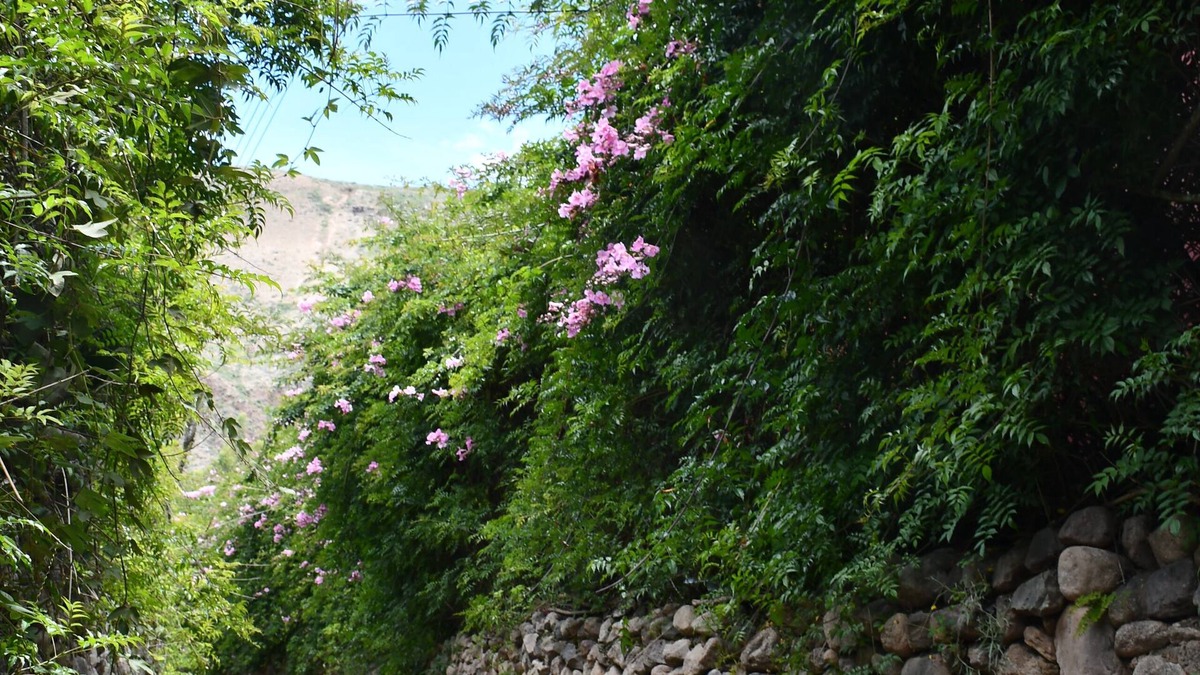 Urubamba Cottage | Country House at Sacred Valley Urubamba