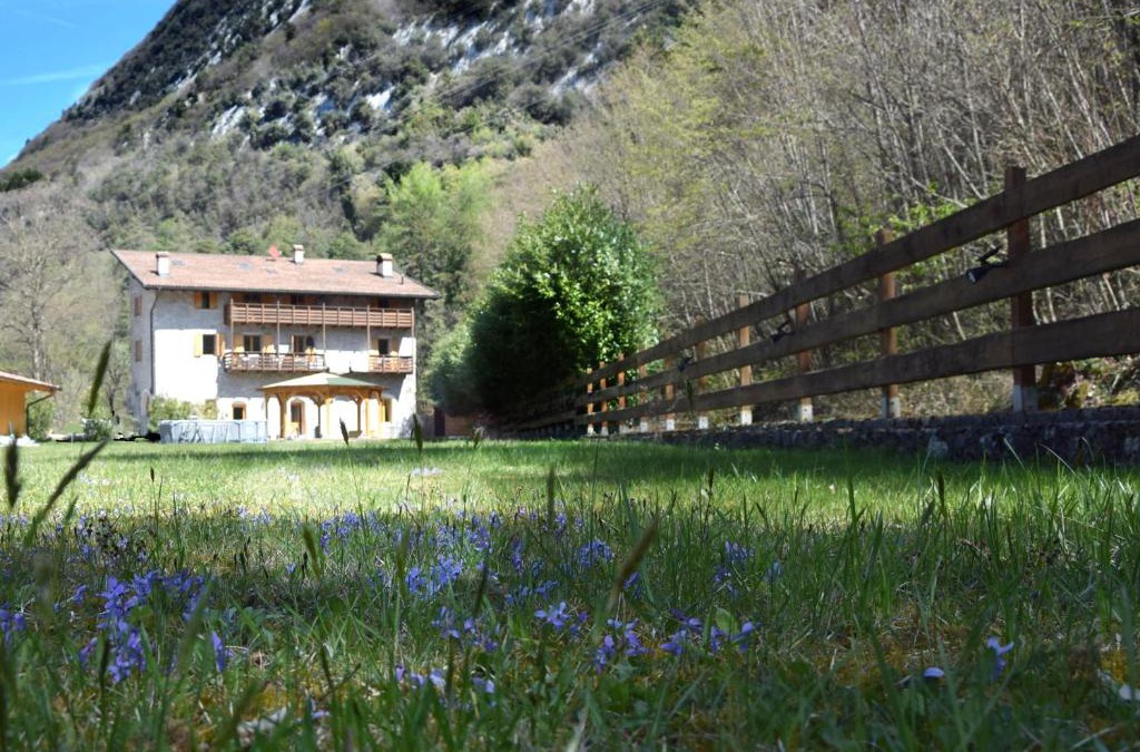 Calavino Apartment | Country House Foglie d'erba