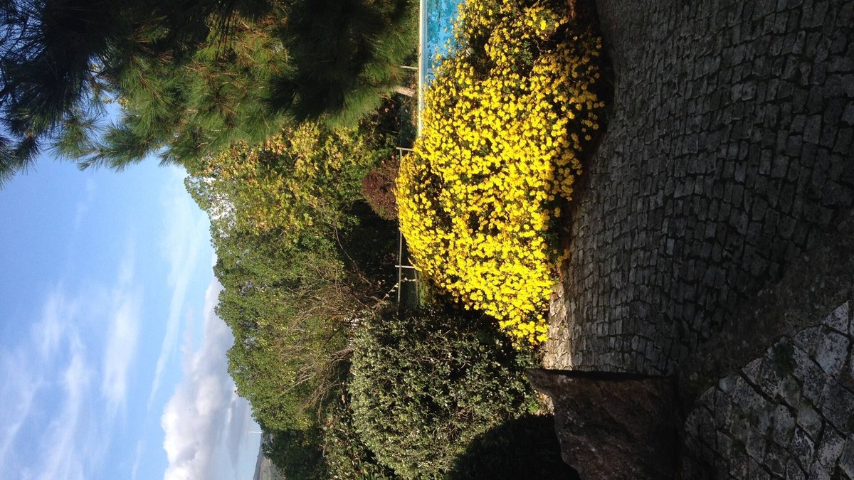 Carvalhal Benfeito House | Country house in Portugal - Casa da Murteira