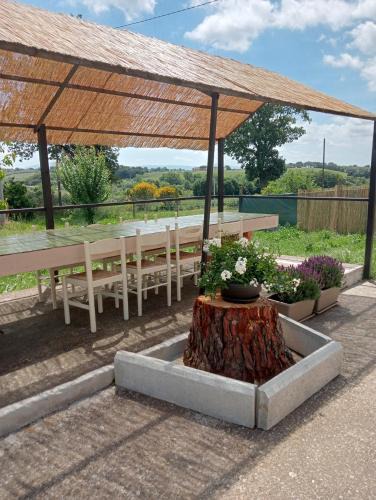 Marta House | Country House L'Oliveto