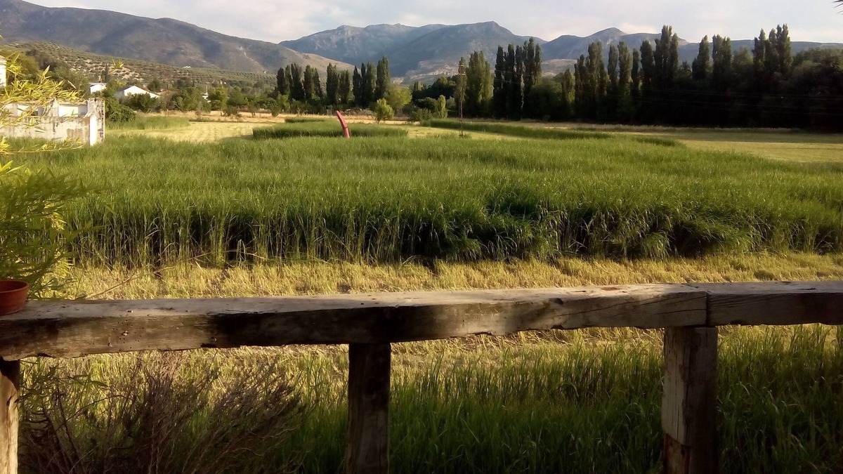 Jaen House | Country house perfectly equipped for lovers of tranquility.