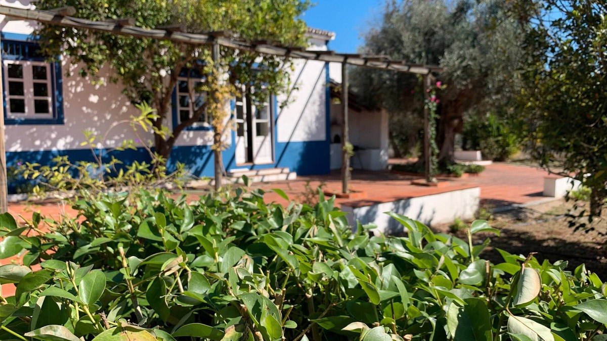 Alvito House | Country House "Quinta do Céu - Refuge in Alentejo," an Idyllic Setting