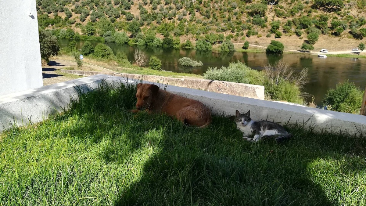 Envendos Cottage | Country house with 2 floors in front of the Tagus River