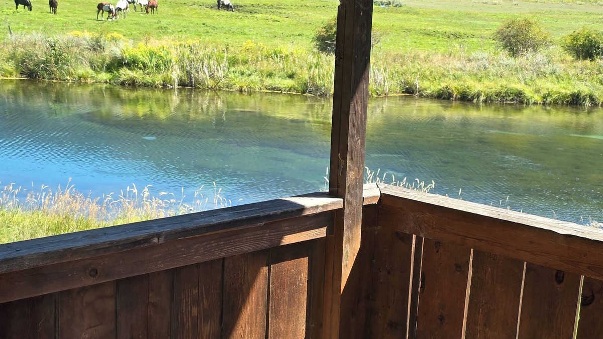 Colville House | Country Living 6 miles from Colville, easy access, on a beautiful large pond!
