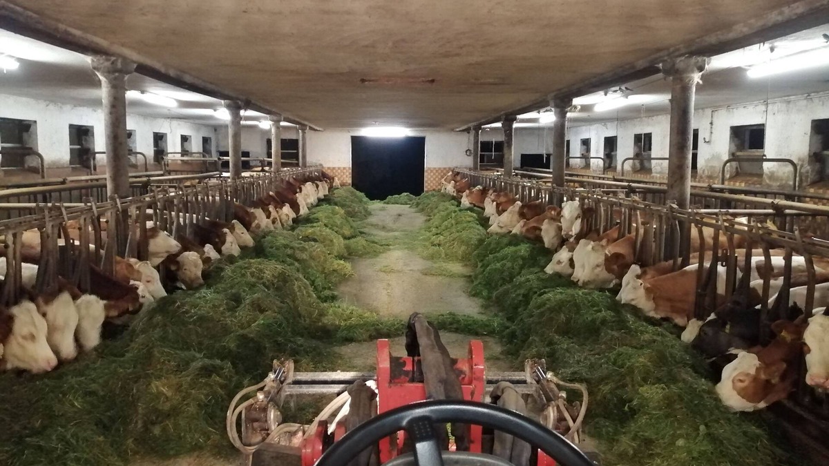 Bobrach Apartment | Country vacation in the Bavarian Forest in Böbrach near Bodenmais in the Arberland.