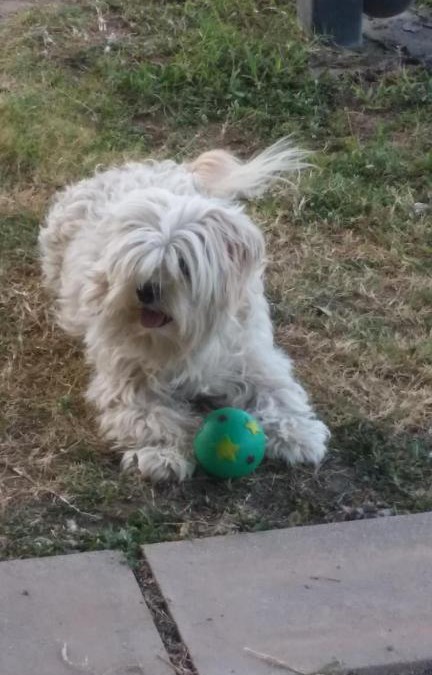 Ilbilbie Hotel | Country View Motel Ilbilbie