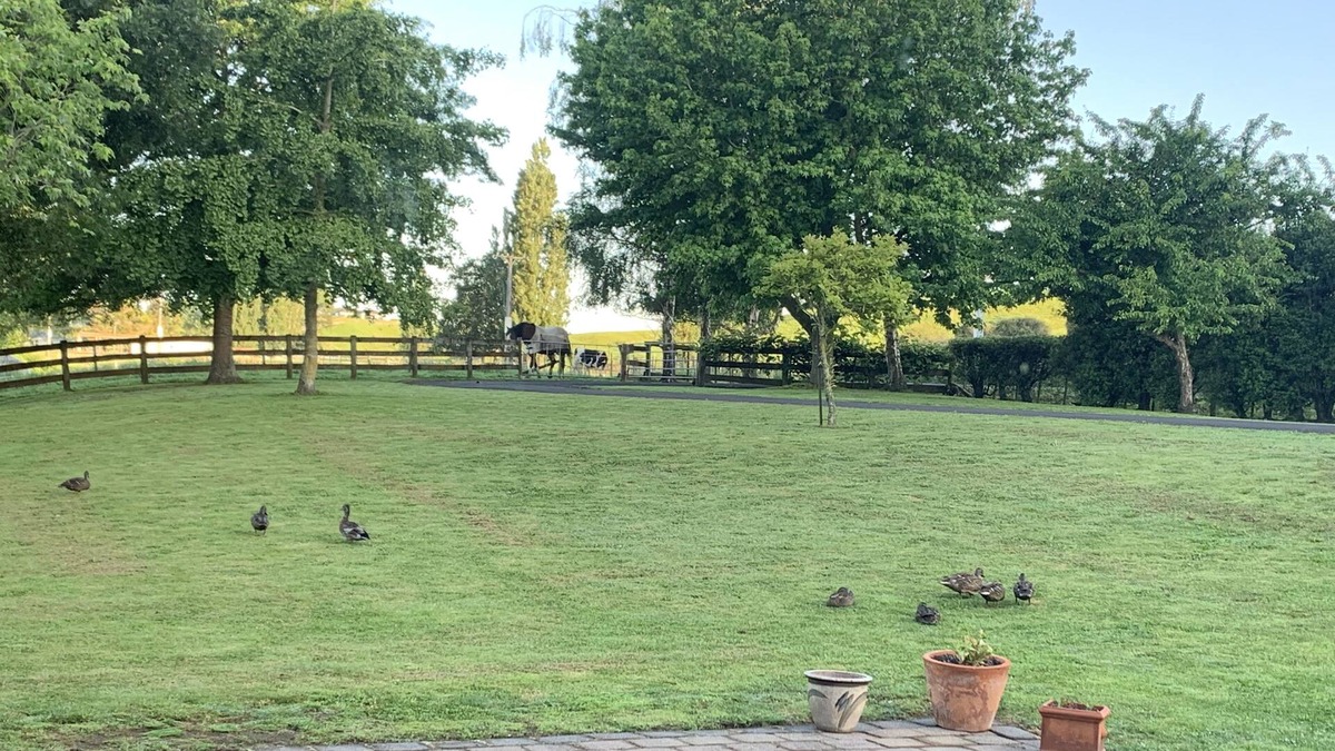 Pukemoremore House | Country warmth home stay’s