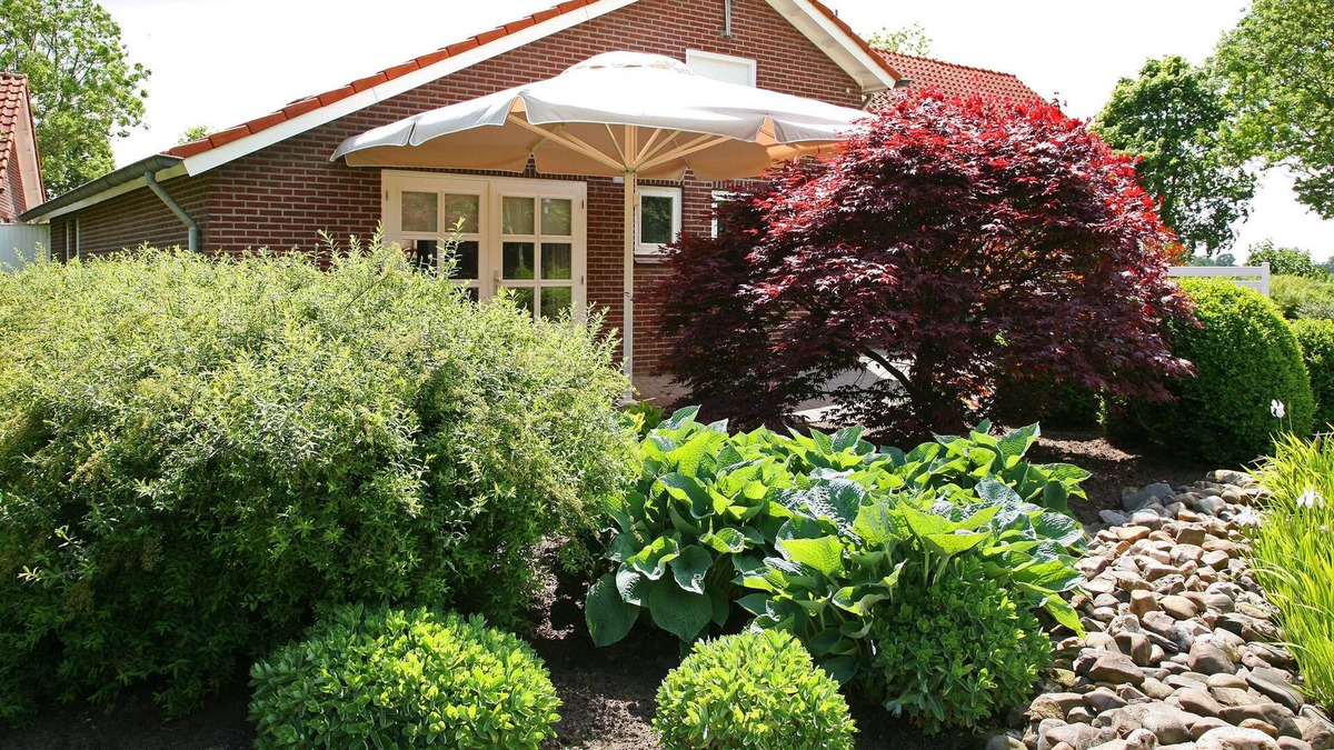 Ospel House | Countryside Holiday Home on the Edge of Groote Peel National Park