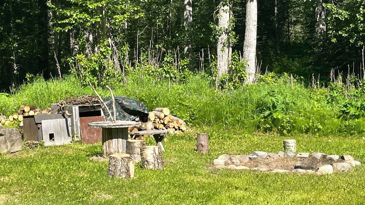 Sutton Cabin | Coyote Cabin in Chickaloon with lake access