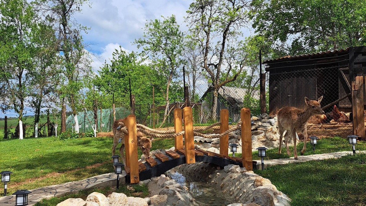 Slunj Apartment | Cozy 1-bedroom apartment with jacuzzi and dears in backyard near Plitvice lakes