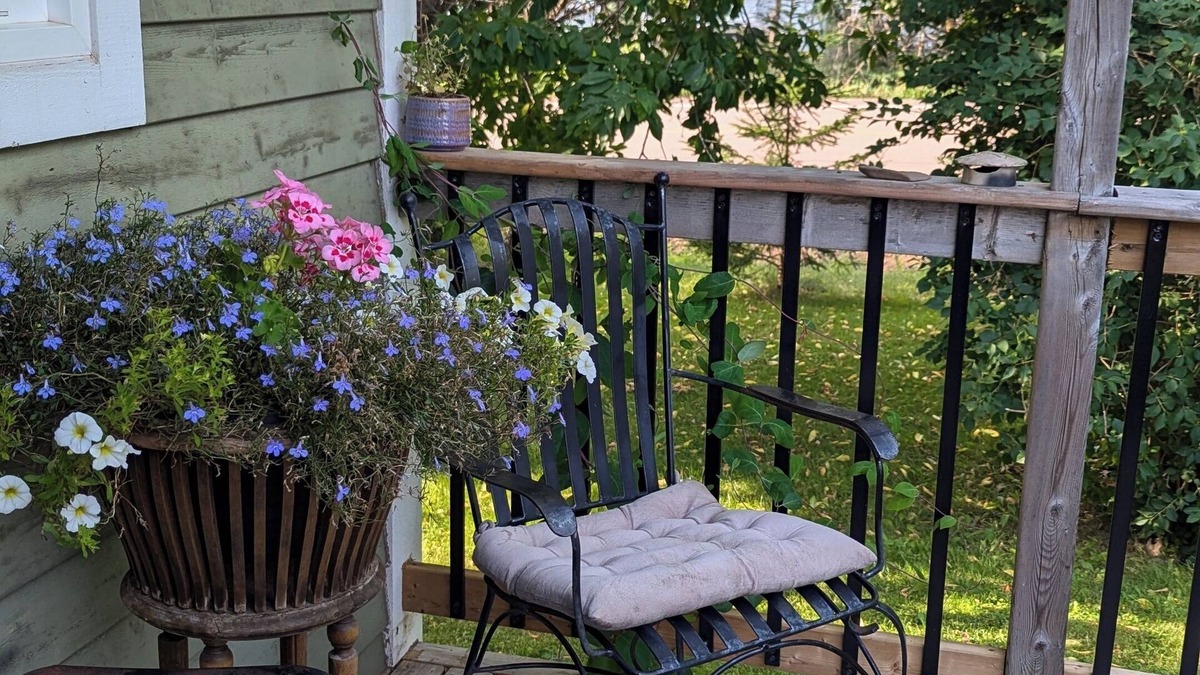 Colchester County House | Cozy 1 bedroom house, on the North shore of NS