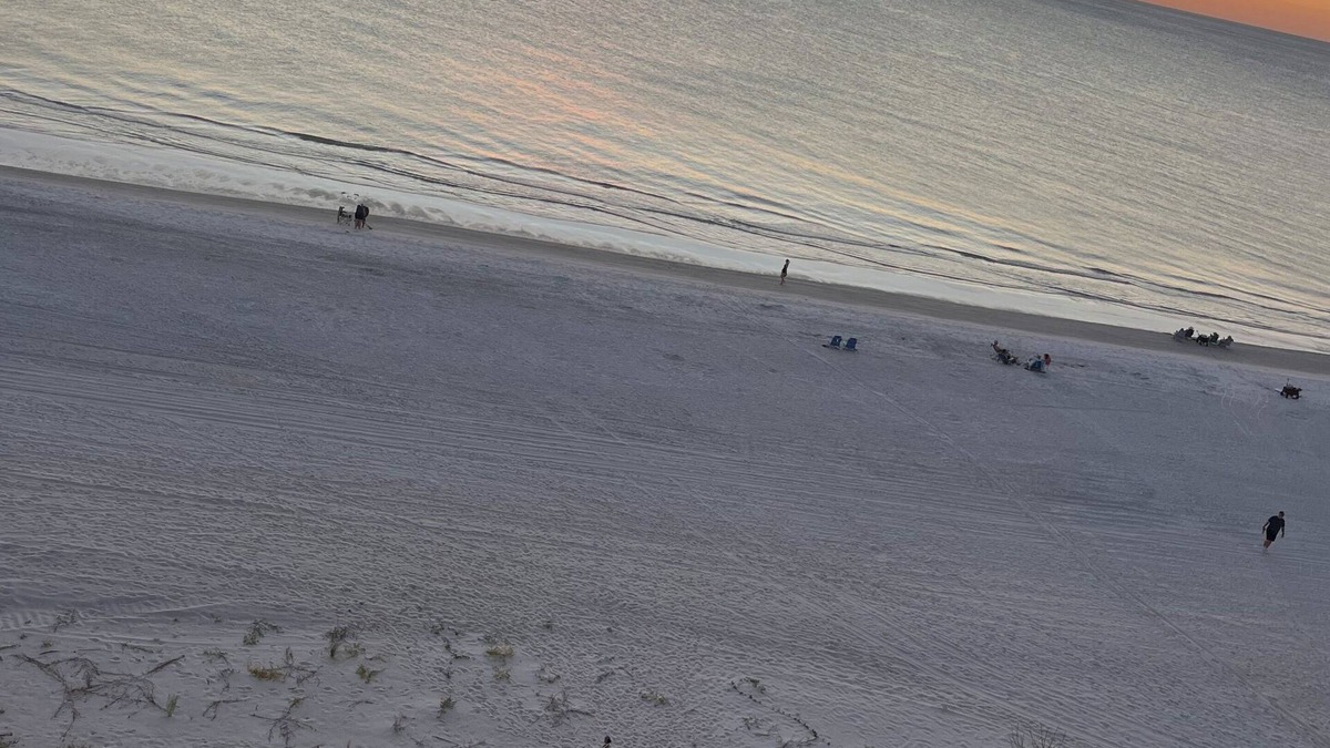 Indian Shores Condo | Cozy 1-bedroom oceanfront condo in delightful Indian Shores Florida