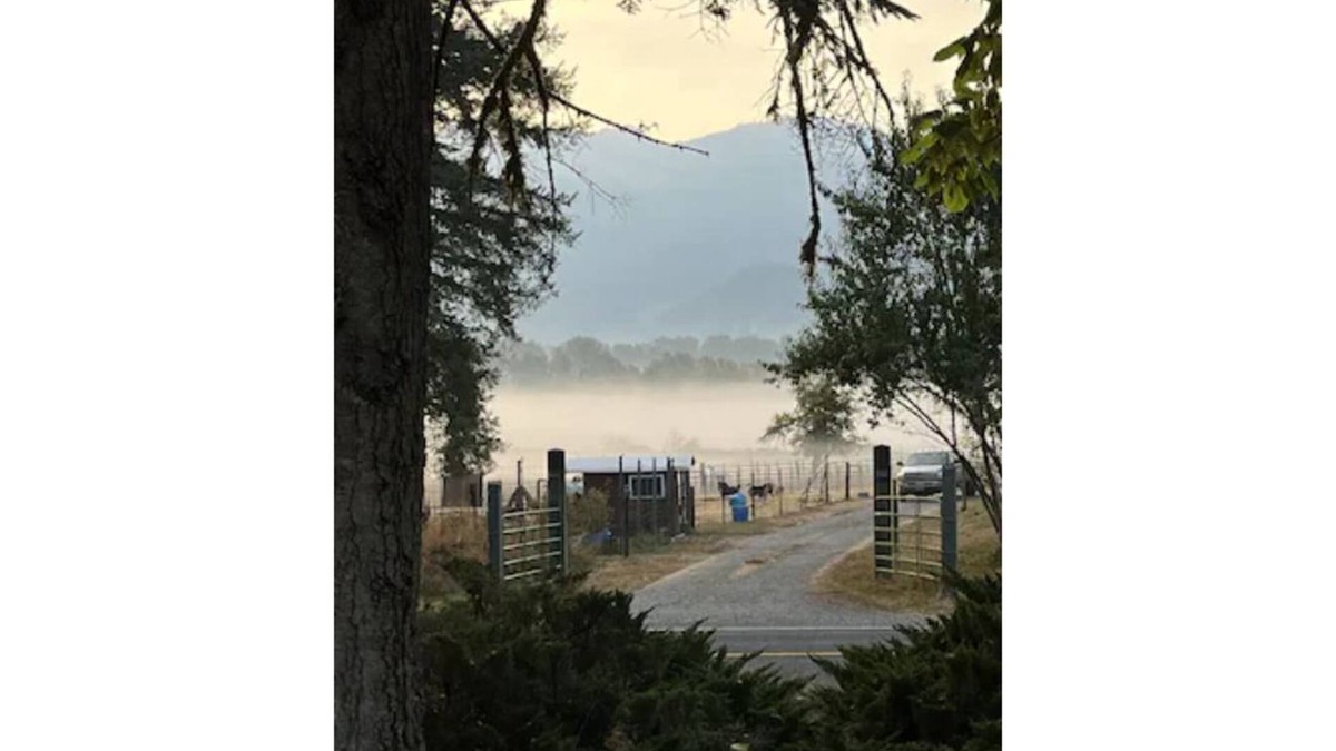 Randle House | Cozy 2 bd house nestled on a mountain side close to WP Ski Resort and MT Rainier