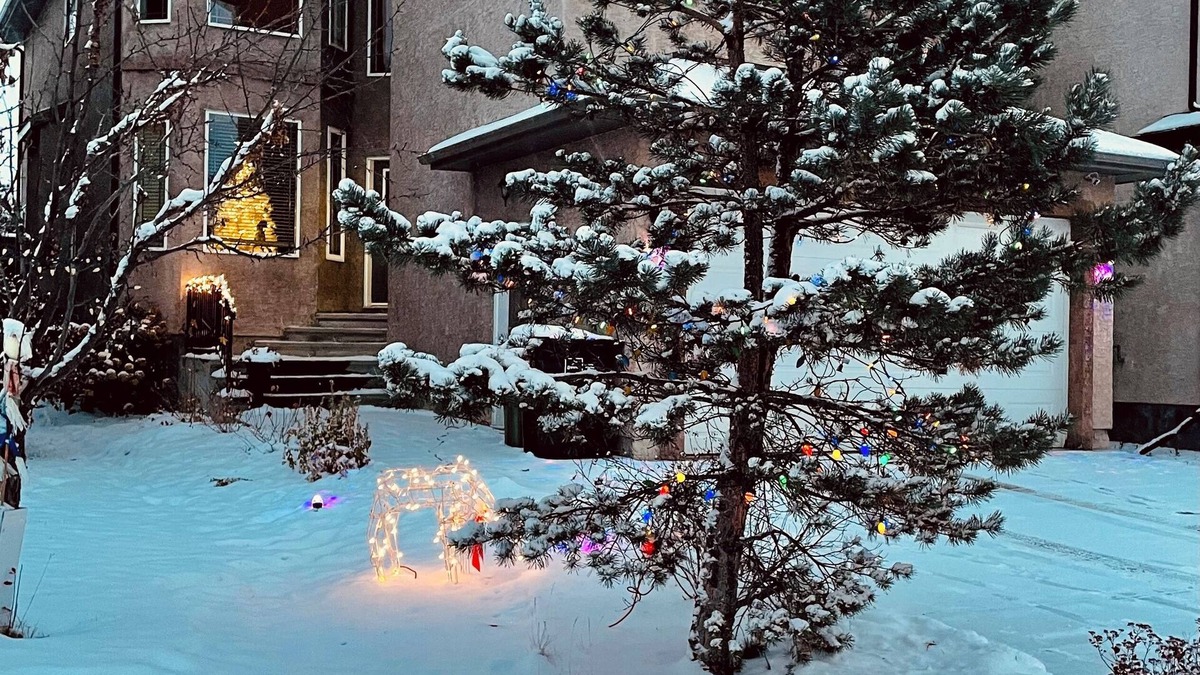 Northwest Edmonton House | Cozy 2 bedroom basement with 2 beds, kitchen, 75’ TV and bathroom