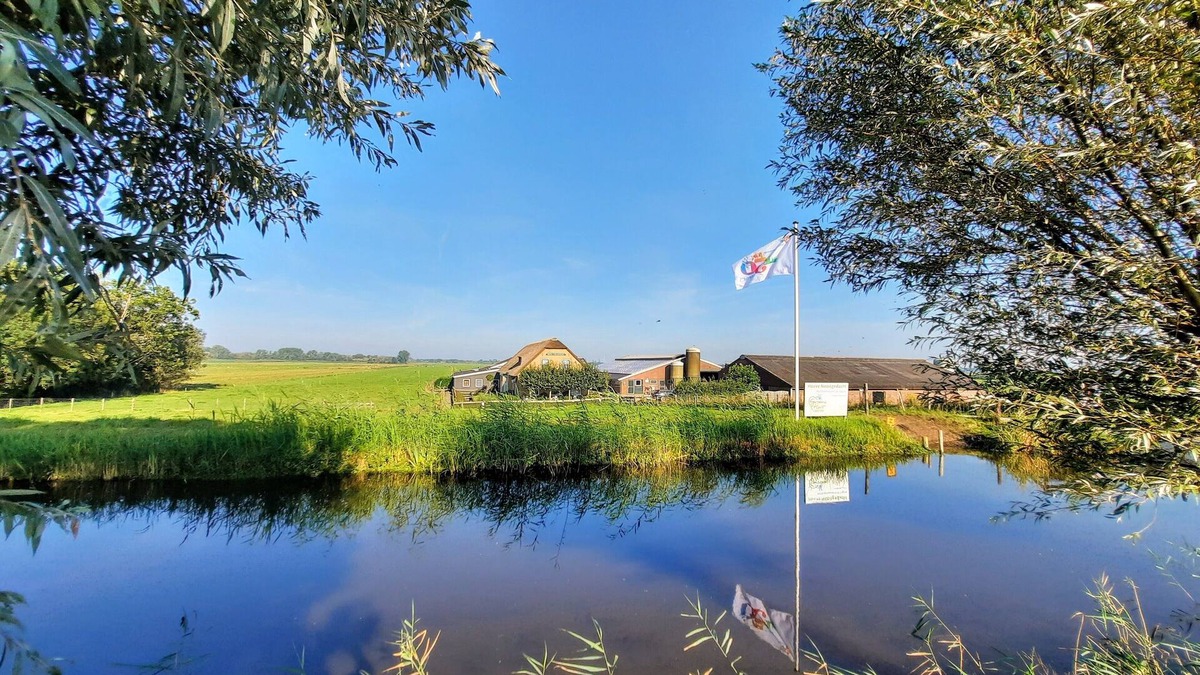 Gelderswoude Apartment | Cozy 5-person apartment on a farm