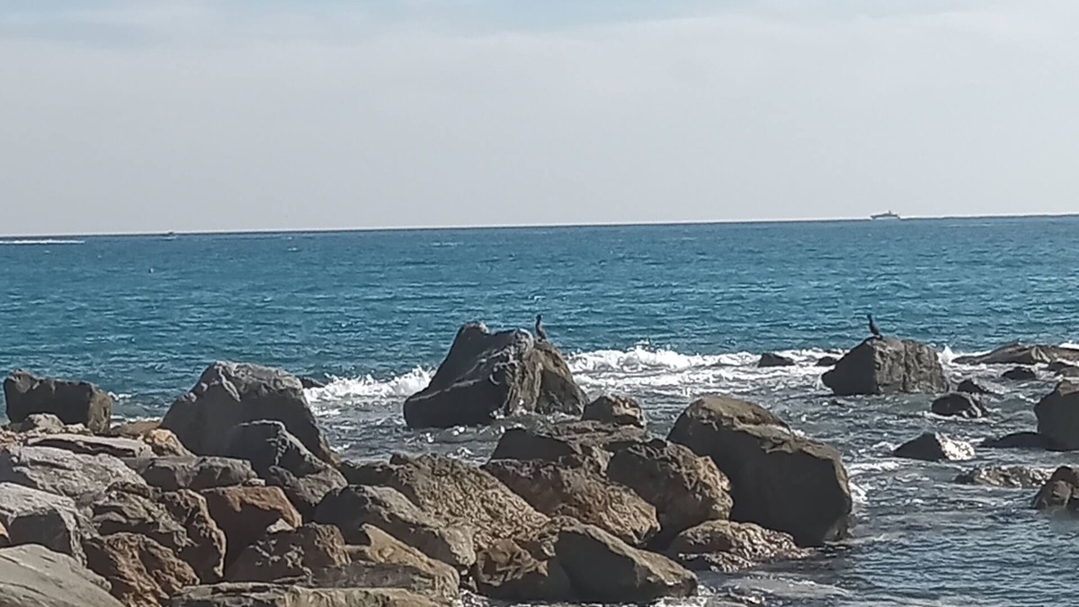Vallecrosia Apartment | Cozy and quiet lodging in the center two minutes from the Ligurian Sea.