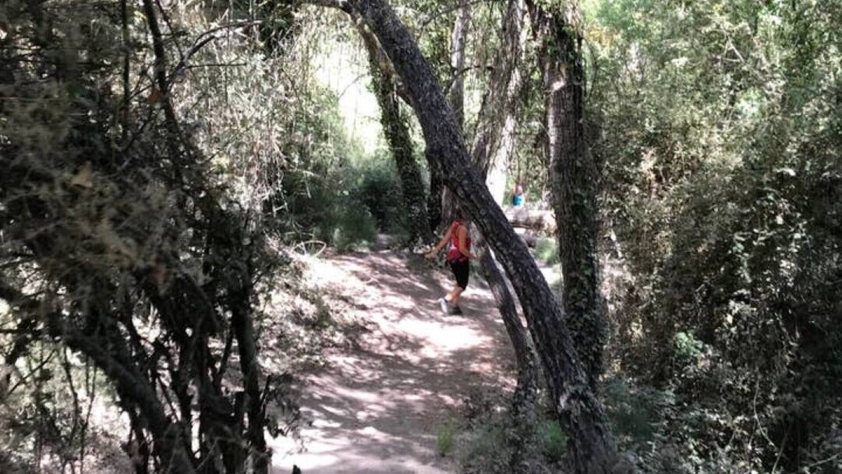 Cenes de la Vega Apartment | Cozy apartment