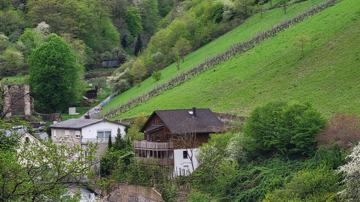 Mainz-Bingen Apartment | Cozy apartment in the countryside