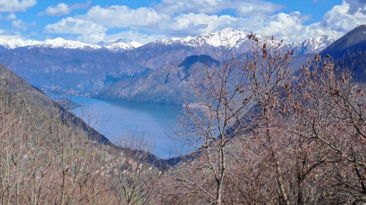 Casasco d'Intelvi Apartment | Cozy apartment surrounded by nature with lake view