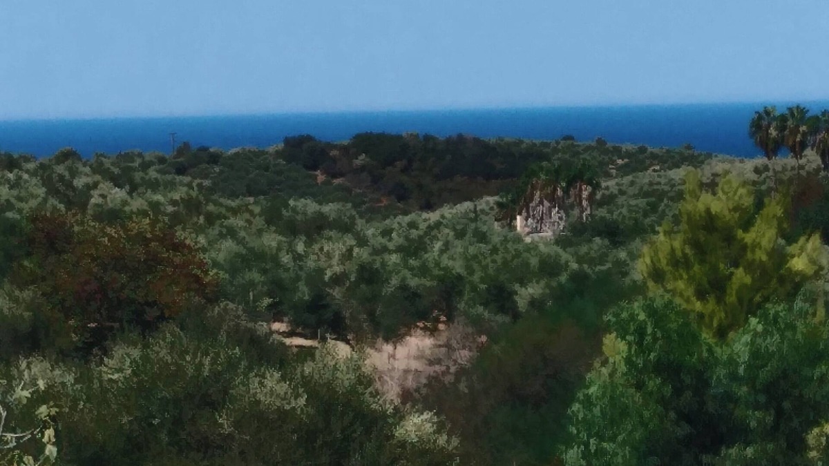 Raches Apartment | Cozy apartment with a huge plot with sea view, dog friendly.