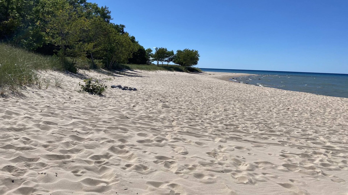 Harbor Springs Cottage | Cozy beachfront cottage in Harbor Springs/Good Hart/M-119/Tunnel of Trees.