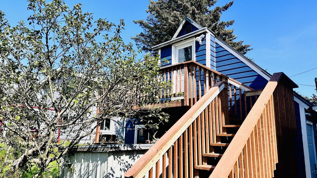 Kodiak Apartment | 🐻 Cozy Bear Studio💗🌲🌤