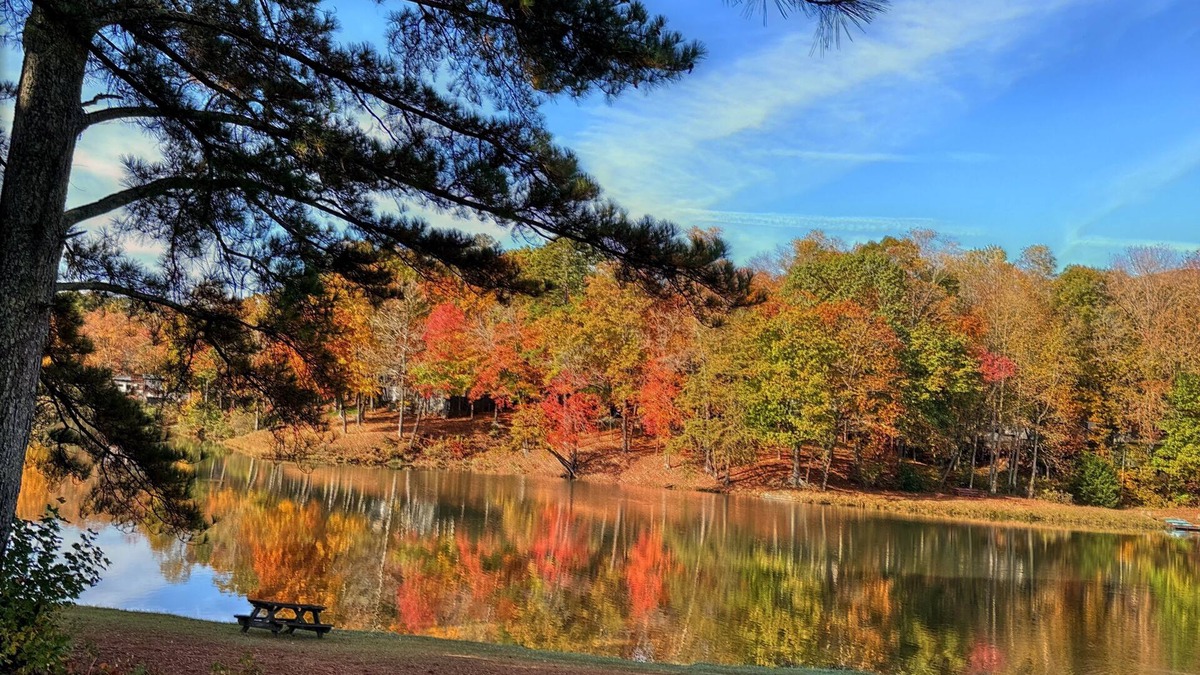 Cleveland Cabin | Cozy cabin and fall leaves! Swim, Horses, hiking, lake and 3 mi from Helen!