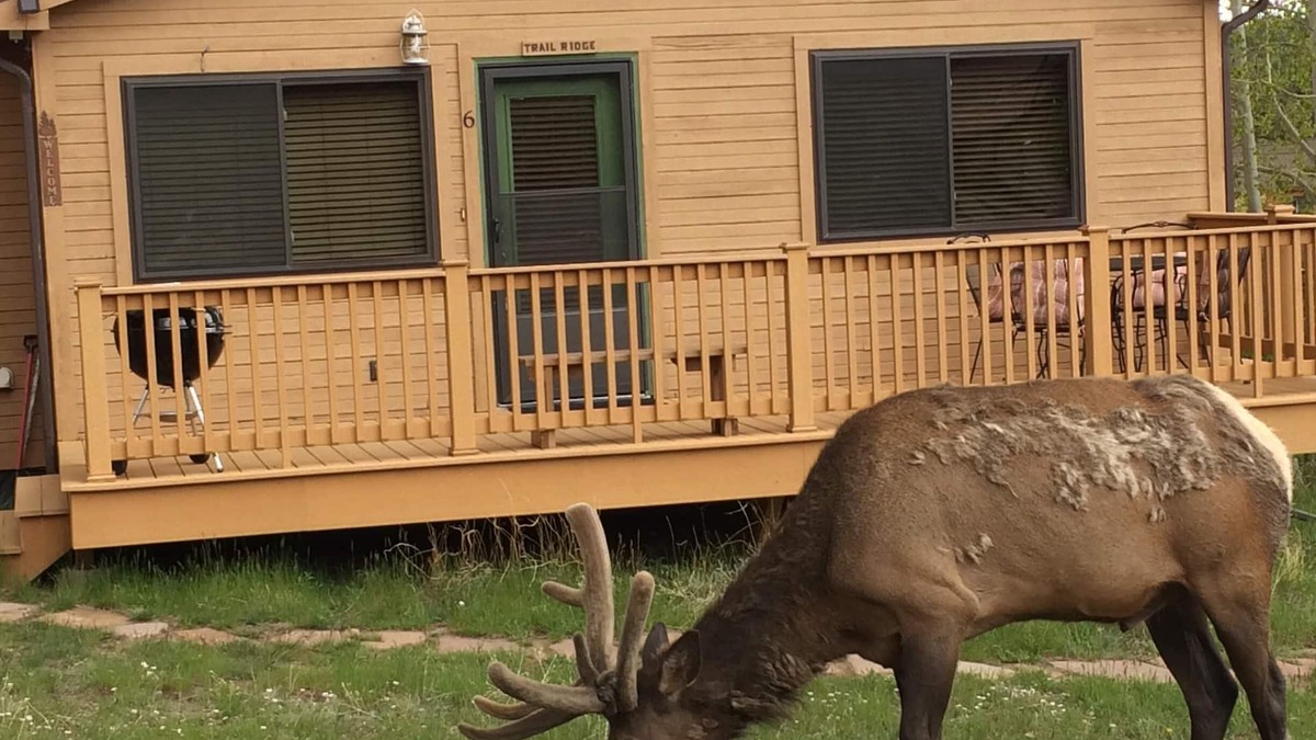 Estes Park Cabin | Cozy cabin by the Big Thompson river - Close to Downtown and RMNP