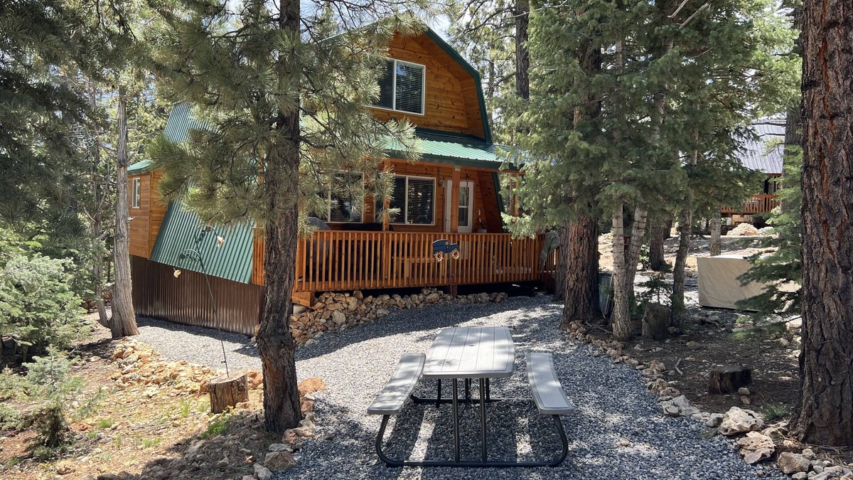 Meadow View Heights Cabin | Cozy Cabin Hidden in the Pines! Explore So. Utah including Cedar, Bryce,&Zion NP