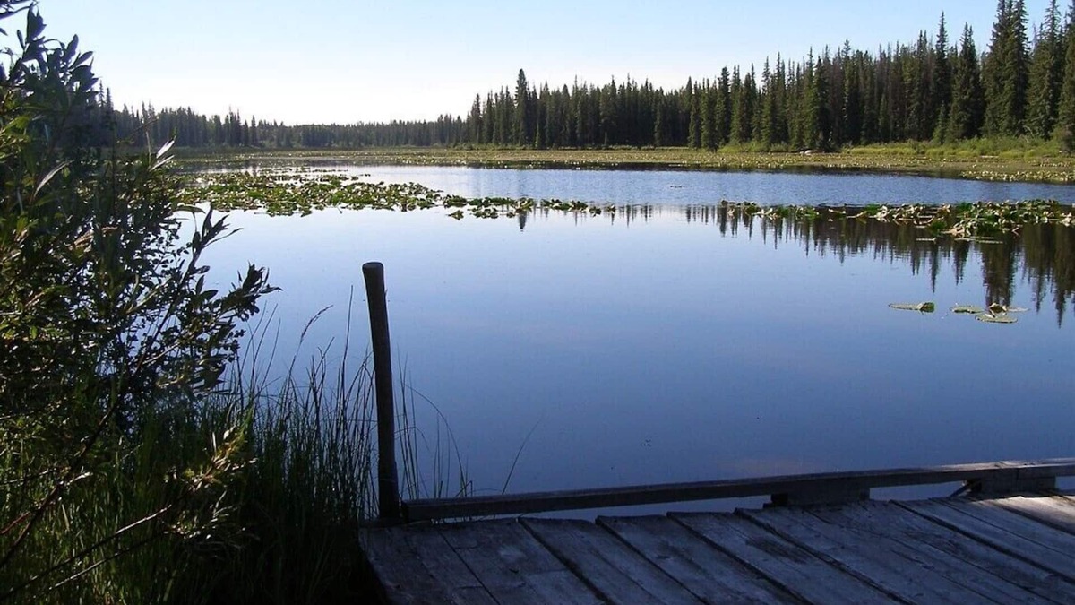 Nimpo Lake Cabin | Cozy Cabin In Nimpo Lake on Dean River