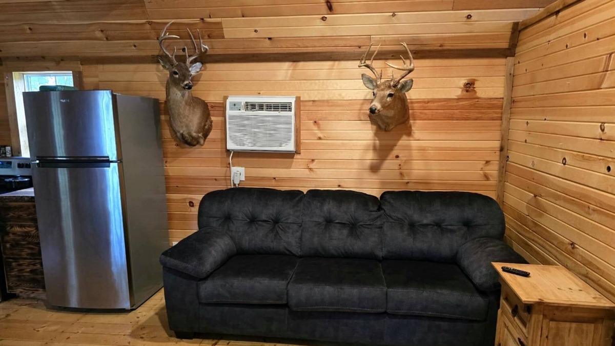 Lebanon Cabin | Cozy cabin in pleasant Lebanon with AC
