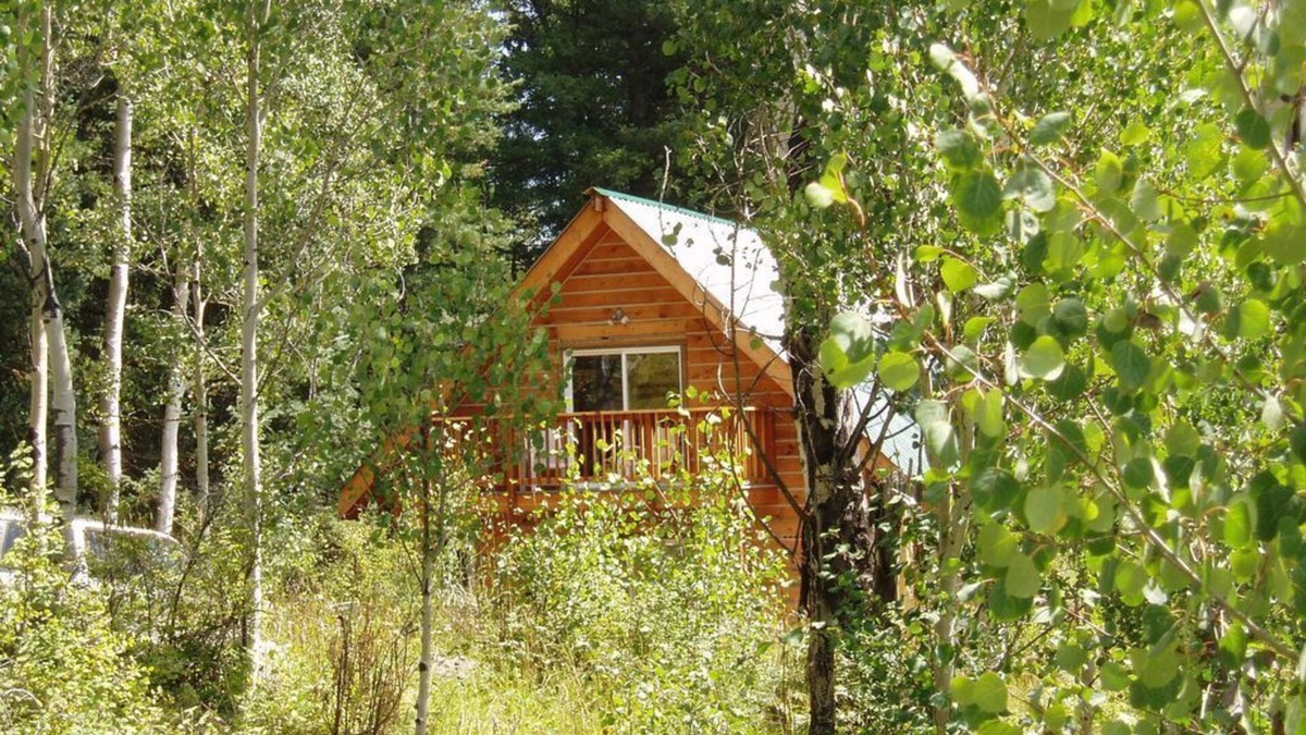 Creede Cabin | Cozy Cabin in the national forest
