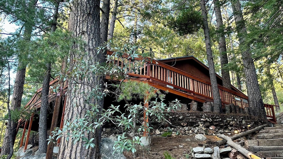 Summerhaven Cabin | Cozy Cabin in the Pines