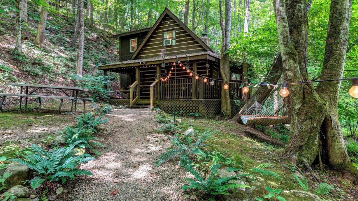 Roan Mountain Cabin | Cozy Cabin in the Woods Hammock Private