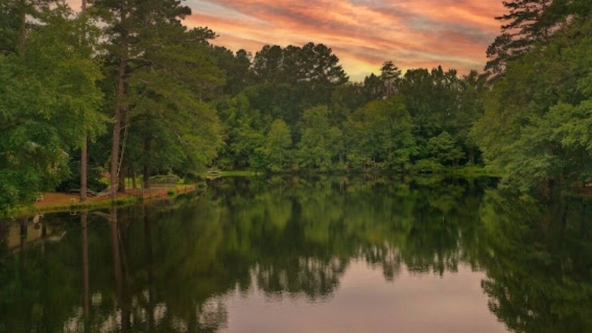 Aiken Cabin | Cozy Cabin nestled by picturesque 3.4ac Lake. Close to Stableview and downtown.