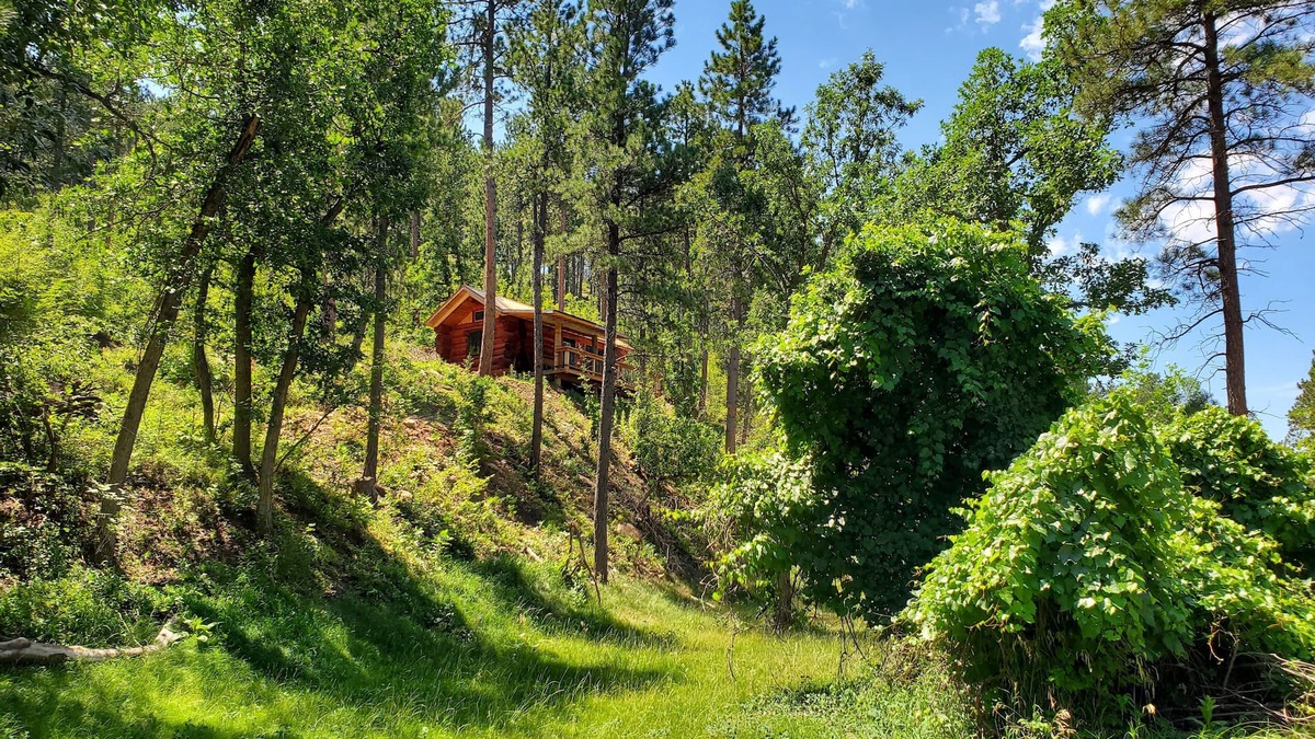 Spearfish Cabin | Cozy Cabin nestled in the Valley - 10 minutes to downtown Spearfish!