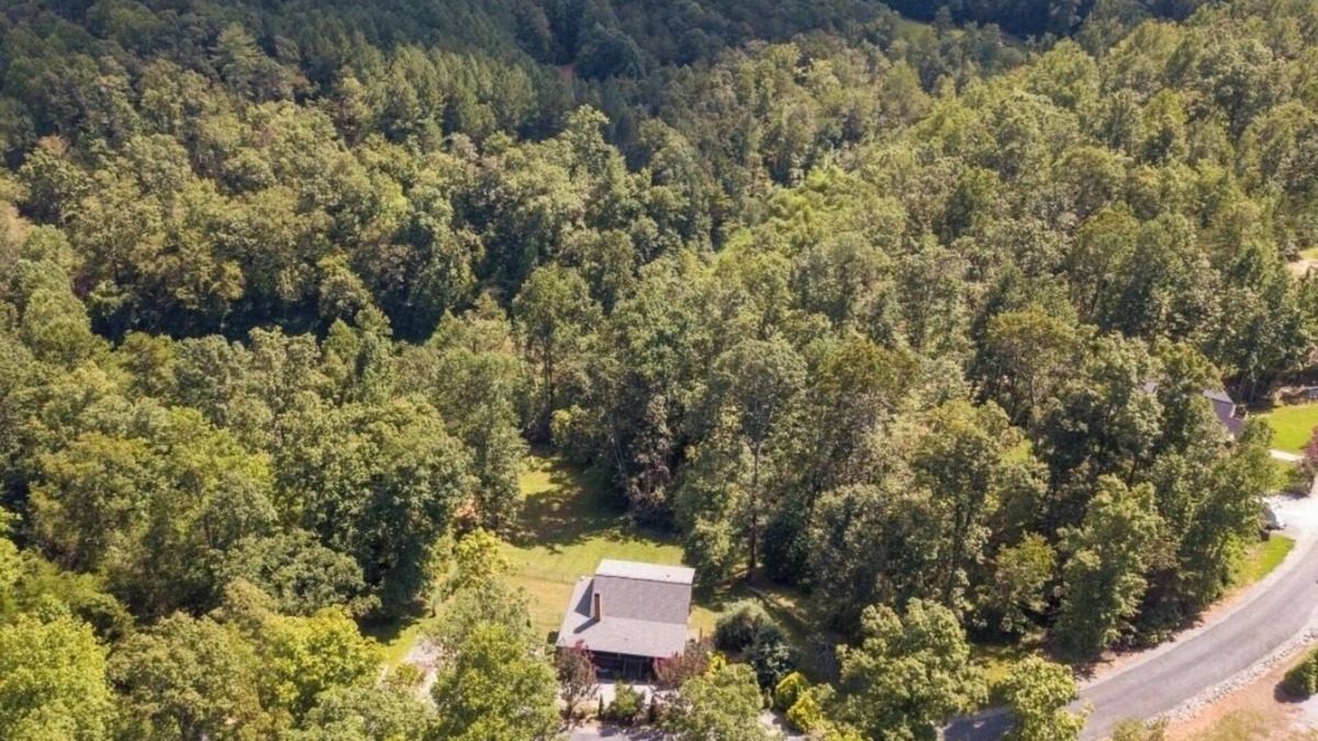 Vein Mountain Cabin | Cozy Cabin Retreat! Hot Tub, Games, Fire Pit & more! Family & Pet Friendly!