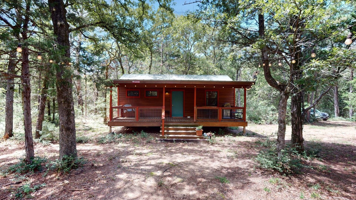 Paige Cabin | Cozy cabin w/covered porch, relaxing hammock & porch swing