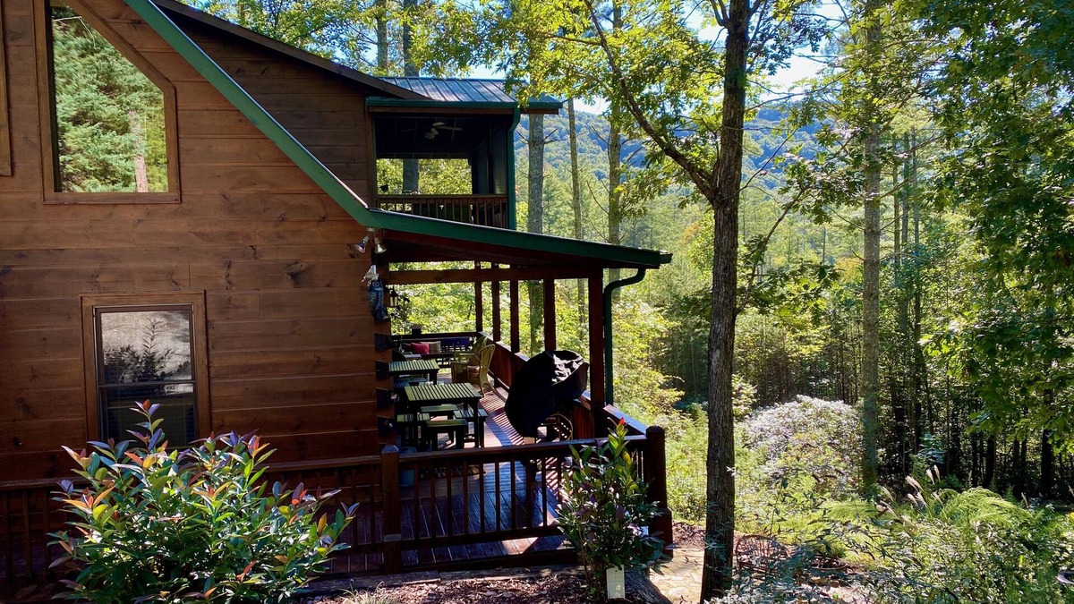 Aska Cabin | Cozy Cabin w/great views, and close to Aska hiking trails!- Blue Ridge