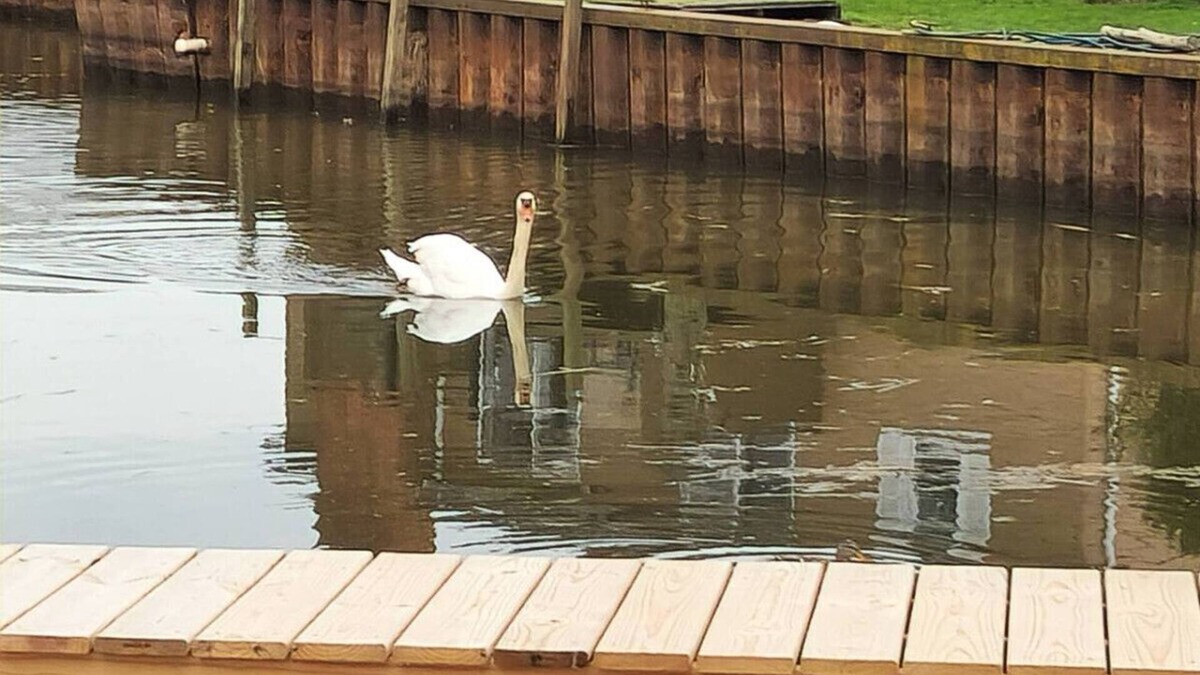 Anchor Bay Harbor Apartment | Cozy Canal Tiny Home | Sleeps 4 | Boat Parking