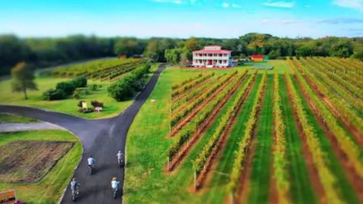 West Cape May Apartment | Cozy Chambourcin Cottage at Willow Creek Winery