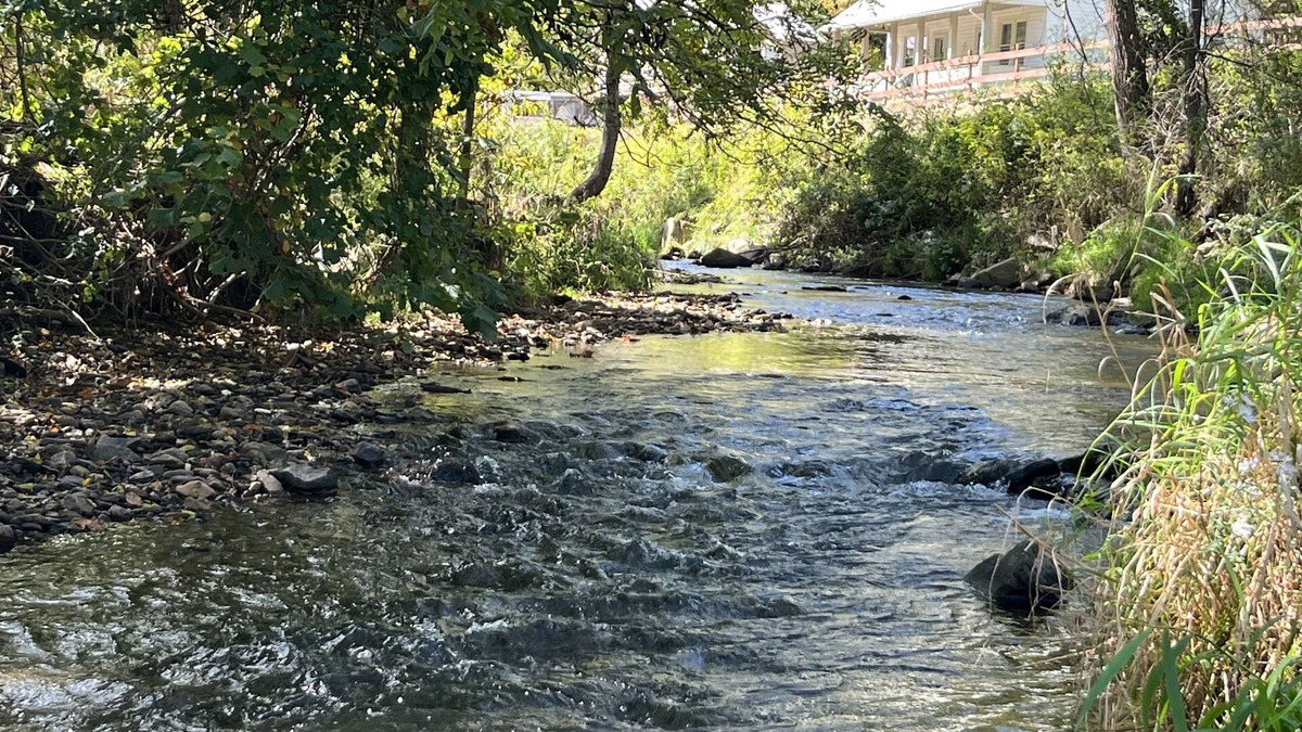 Green Mountain Cottage | Cozy Clover Dell Cottage on Jacks Creek, Near Burnsville, NC