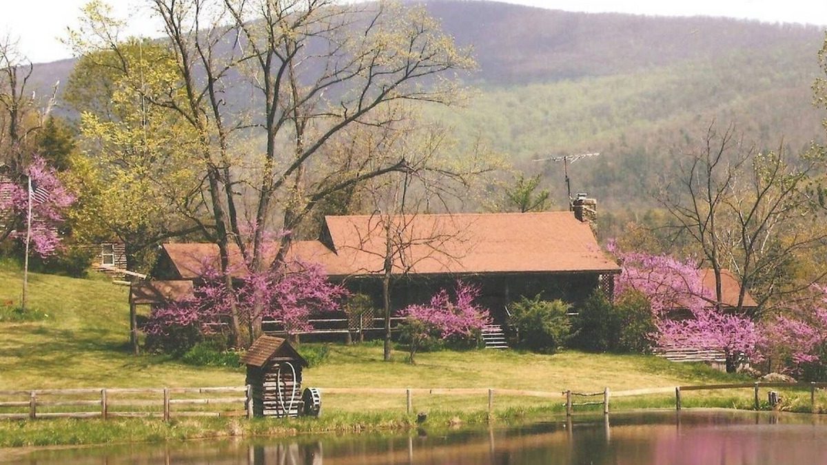 Elkton Cabin | Cozy Elkton Cabin near Shenandoah 25 min