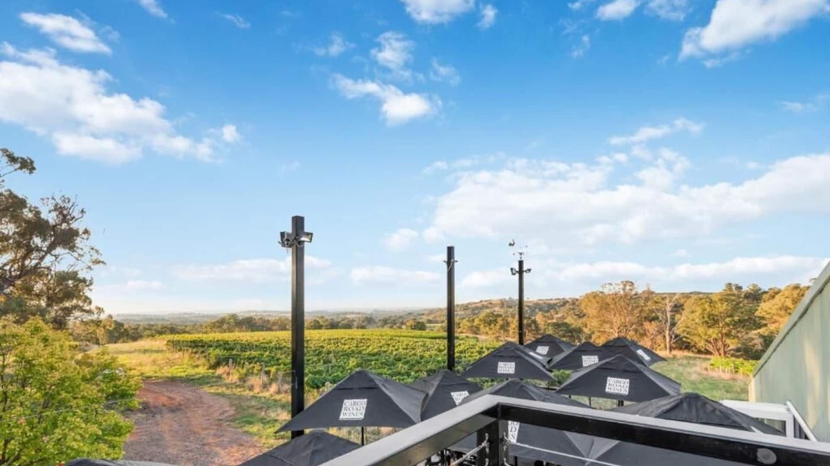 Lidster Bed & Breakfast | Cozy Getaway with Beautiful Vineyard views in the middle of wine region!