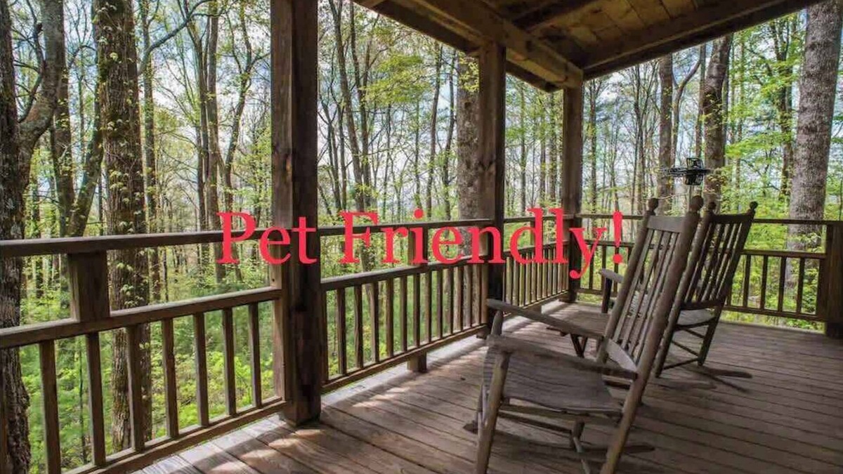 Chimney Rock Cabin | Cozy Guest Cabin Pet Friendly Secluded Peaceful