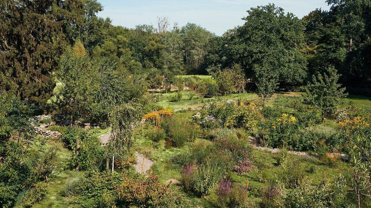 Bad Homburg v.d. Hoehe House | Cozy hideaway in the Taunus with a natural swimming pond