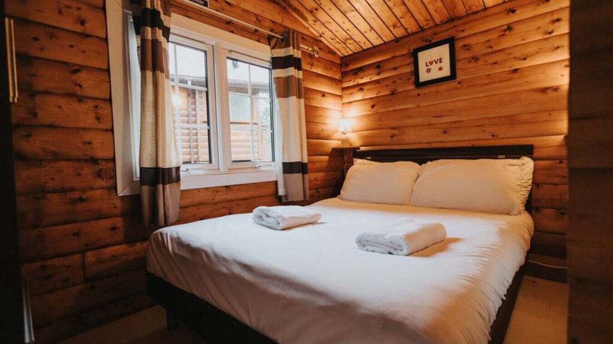 Bronaber Cabin | Cozy Hideway in Rural Mid Wales