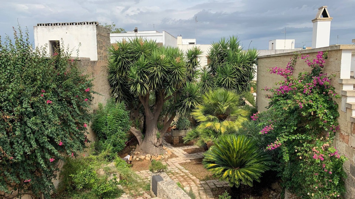 Presicce House | Cozy house in Salento, ideal for families seeking an oasis of peace.