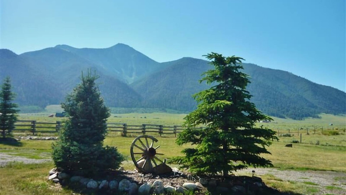 Cameron House | Cozy Immaculate Cabin - Peaceful Retreat!