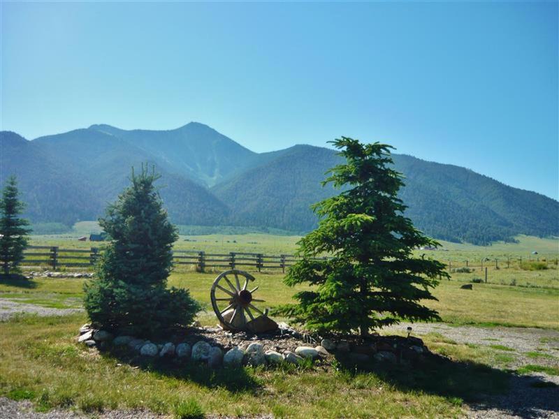 Cameron House | Cozy Immaculate Cabin - Peaceful Retreat!
